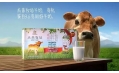 用實力打造優質偶像