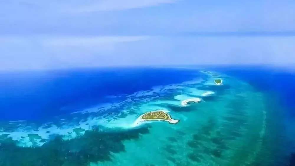 “海南自由港”震撼登場！40個亮點東方和利帶你一文看懂